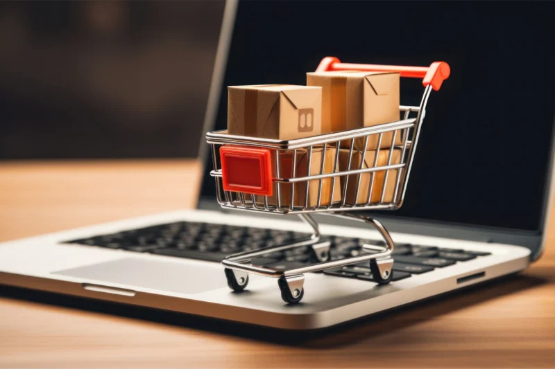 The Evolution and Future of E-Commerce: How Online Shopping Is Transforming the Global Economy